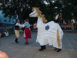Libín - S, folklorní sdružení